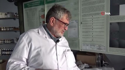 Semizotu tohumundan bitkisel omega 3 ilaç etken maddesi üretiyorlar