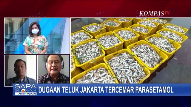 Peneliti BRIN Temukan Kandungan Parasetamol di 2 Titik Perairan Teluk Jakarta