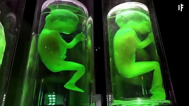 What If You Were Born on Mars