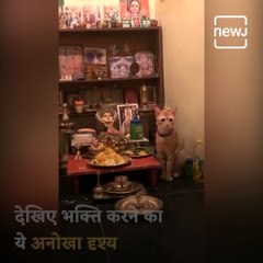 Watch: This Unique Sight Of Devotion