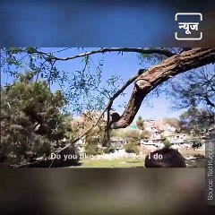 This Video By Vlogger Ted Kunchok Will Bring A Smile On Your Face