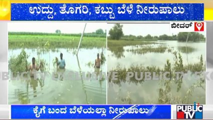 ಬೀದರ್: ಕೈಗೆ ಬಂದ ಬೆಳೆಯೆಲ್ಲಾ ನೀರುಪಾಲು..! | Bidar | Public TV
