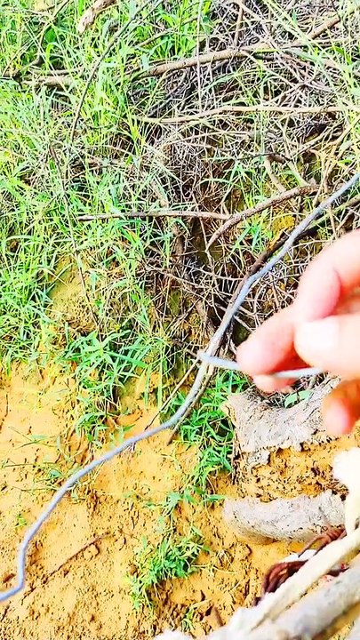 Landlord nitesh joshi at farm |agricultural vlog|crops |  khet || part 4