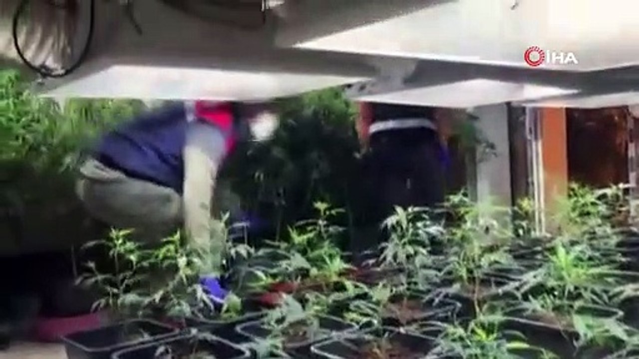 Jandarmadan yüksek teknoloji ile kurulmuş uyuşturucu serasına baskın