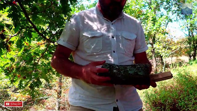 MAKING WOODEN MALLET FROM OAK TREE FOR BUSHCRAFT - DO IT YOURSELF - BUSHCRAFT - BUSHCRAFT İÇİN MEŞE AĞACINDAN TAHTA TOKMAK YAPIMI - KENDİN YAP