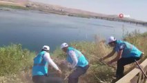 Şırnak'ta DEDAŞ personelleri Dicle Nehri çevresini temizledi