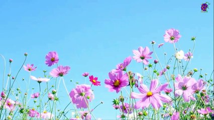 intro-logo-15-min-20210923-211819