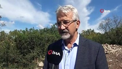 Nilüfer’de sokak hayvanlarının barınacağı ‘Doğal Yaşam Alanı’ projesi start aldı