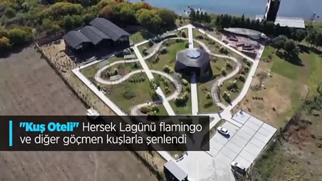 "Kuş Oteli" Hersek Lagünü flamingo ve diğer göçmen kuşlarla şenlendi