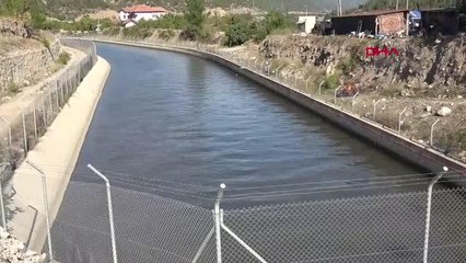 Son dakika gündem: YEŞİLIRMAK NEHRİ'NDEKİ BALIK ÖLÜMLERİNE İNCELEME