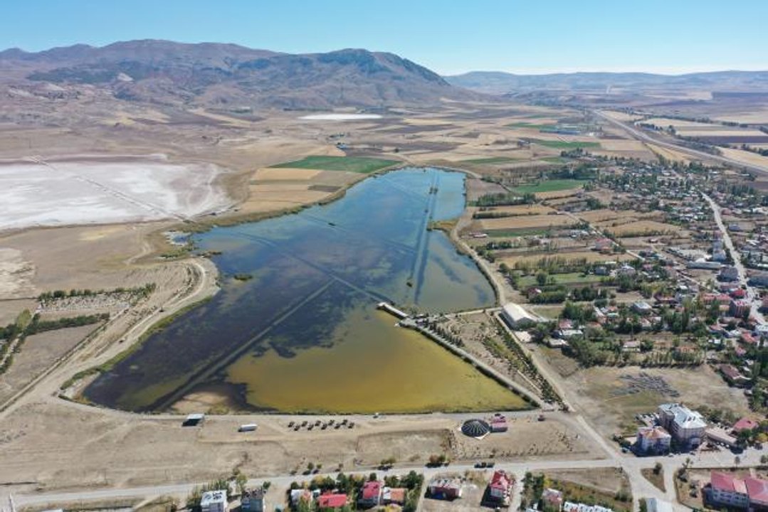 Son dakika haber | Kuraklıktan etkilenen Ulaş Gölü'nde balık ölümlerini önlemek için çalışma başlatıldı