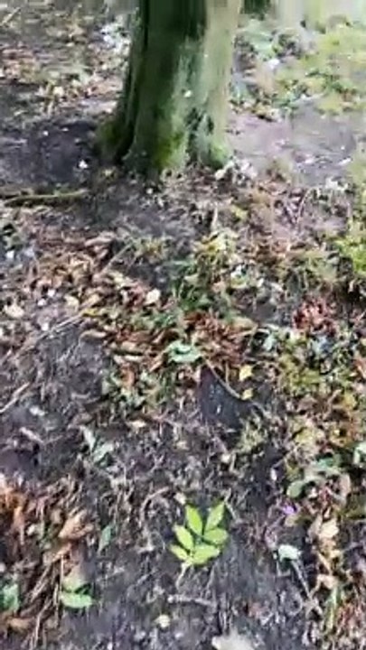 Gaëlle mariée : Précieuses images de son mariage à la campagne.