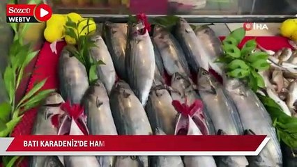Batı Karadeniz'de hamsi azaldı, palamut tezgahtaki yerini aldı