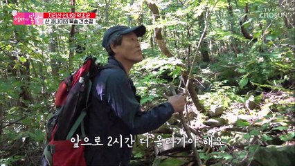 위험 천만 인적 드문 산속 깊은 곳을 해쳐가는 약초꾼 TV CHOSUN 20211003 방송