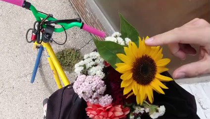 it's been 2 weeks ...  | i3x