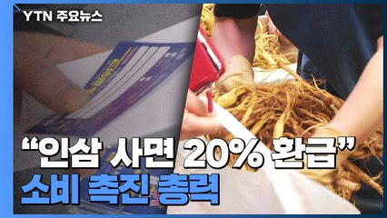 "금산 인삼 사고 20% 돌려받으세요"...수확기 소비 촉진 총력 / YTN