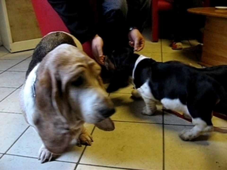 visite au domaine 2