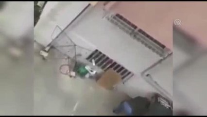Köpeğe şiddet uygulayan zanlı yakalandı