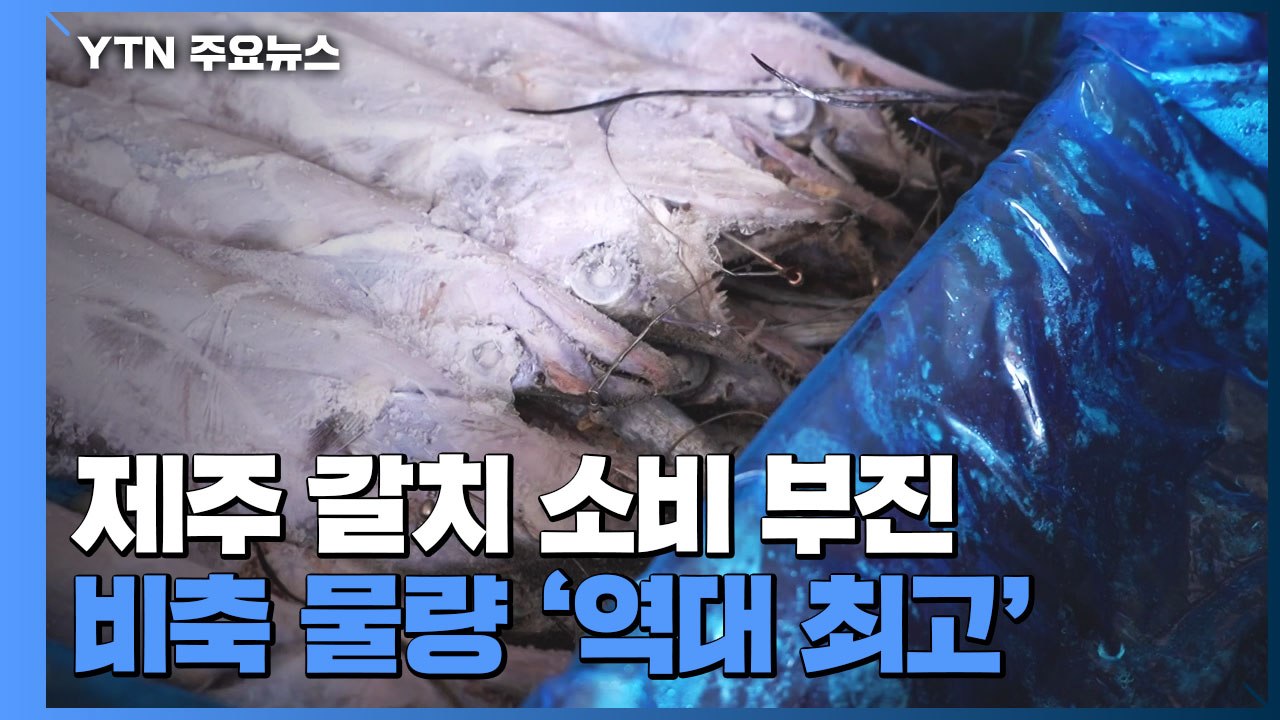 제주 갈치 소비 부진...비축 물량 '역대 최고' / YTN
