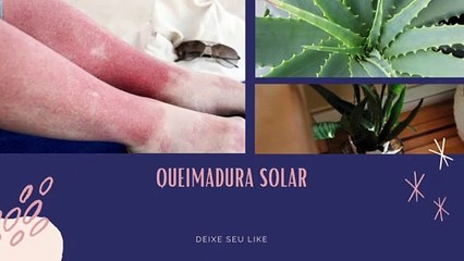 OS PODERES DA BABOSA E SUAS PROPRIEDADES SÃO INACREDITÁVEIS