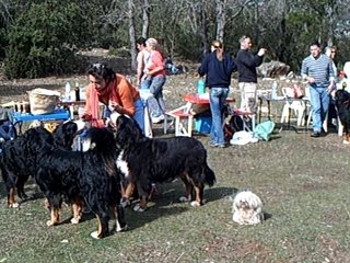 rencontre siou blanc video 2