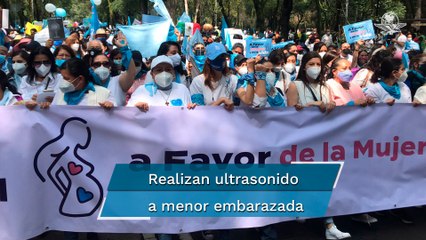 Manifestantes Provida marchan por la mujer y la vida