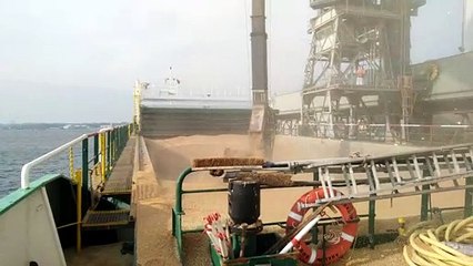 LOADING OF WHEAT IN SOUTHAMPTON