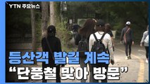 단풍철 등산객 몰리고 이동량↑...수도권 집단감염 여전 / YTN