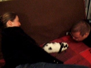 l'homme qui murmurait a l'oreille des lapins 2