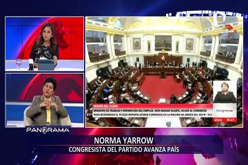 Yarrow: "Es claro que Castillo quiere cerrar el Congreso y llamar a Asamblea Constituyente"