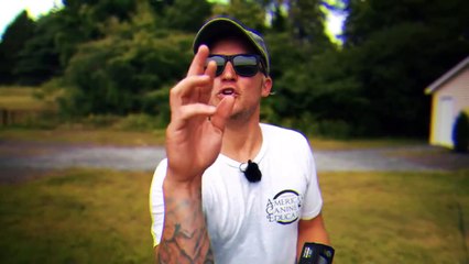 how to train your dog safely