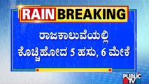 ಬೆಂಗಳೂರಿನಲ್ಲಿ ಸುರಿದ ಧಾರಾಕಾರ ಮಳೆಗೆ ಕೊಚ್ಚಿಹೋದ ಸಾಕುಪ್ರಾಣಿಗಳು | Heavy Rainfall In Bengaluru