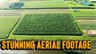 'Stunning aerial footage shows INSANELY DETAILED corn maze in all its glory'