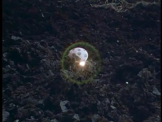 SOFT BALLET / TWIST OF LOVE PV