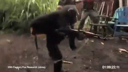 Monkey Ape Firing AK 47 - Soldiers in Africa