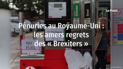 Pénuries au Royaume-Uni : les amers regrets des « Brexiters »