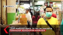 BRIN Belum Temukan Dampak Kontaminasi Parasetamol Terhadap Manusia