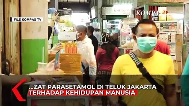 BRIN Belum Temukan Dampak Kontaminasi Parasetamol Terhadap Manusia