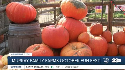 Murray Family Farms October Fun Fest