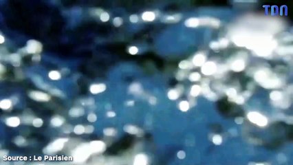 En Australie, un crocodile attrape un drone en plein vol