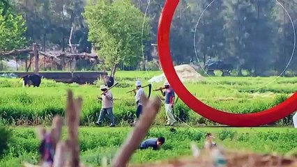 ...لايات المتحدة والاتحاد الاوروبي لتعزيز ا...