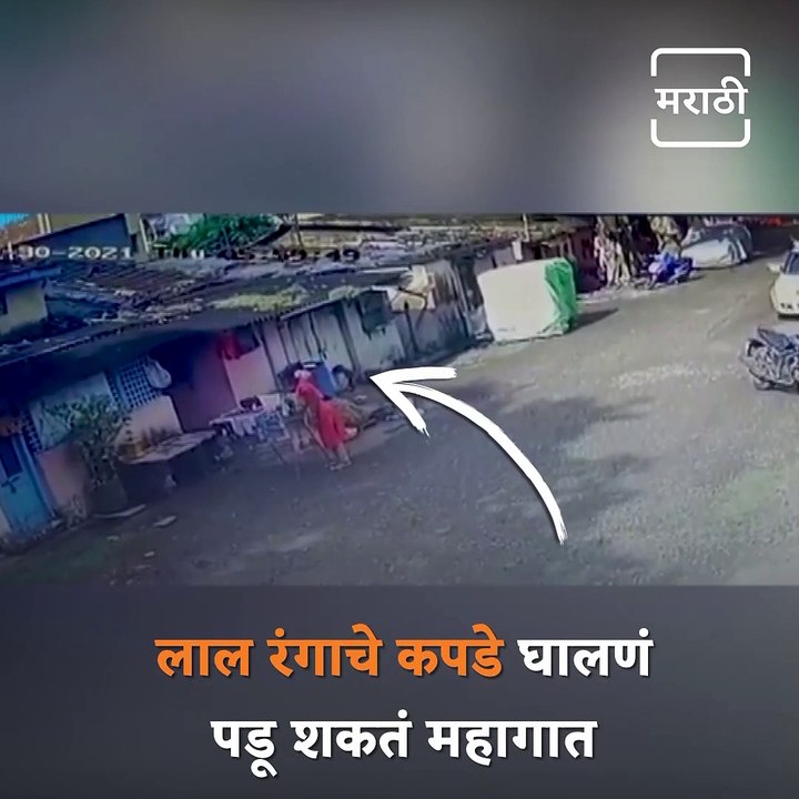 Wearing Red Cloths Can Be Dangerous, Watch This Shocking Video