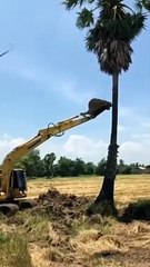 #naturevedio7 @nature_vedio Like Share Comments