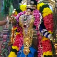 Watch The Divine View Of The Temples Of South India