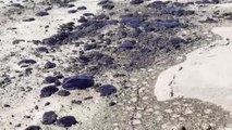 Cientos de miles de litros de petróleo amenazan la costa de California tras la rotura de una plataforma marina