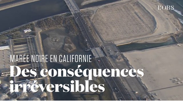 Une marée noire touche le sud de la Californie