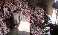 Açlık krizinin yaşandığı Brezilya'da insanlar hayvan leşlerine hücum etti! Çekilen fotoğraf dünyayı ayağa kaldırdı