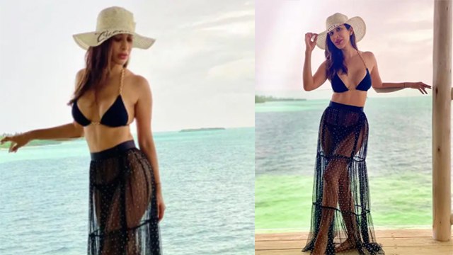 Sophie Choudry Hot Bikini Look Viral । Sophie Choudry Black Bikini पहन लगाई आग । Boldsky