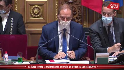 La lutte contre la maltraitance animale en débat au Sénat   - Les matins du Sénat (04/10/2021)