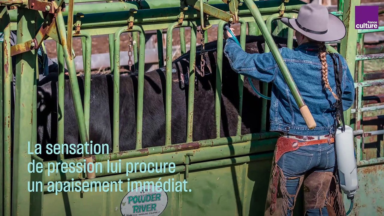 Temple Grandin l'interprète des animaux